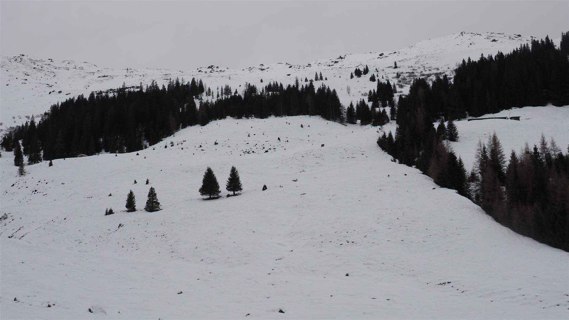 Vorsicht vor leicht auslösbarem Triebschnee in Schattenhängen