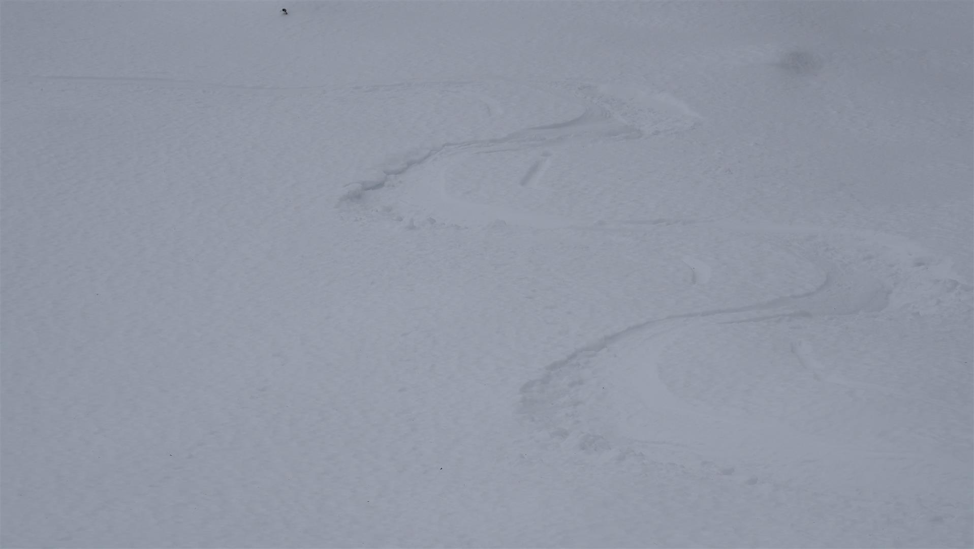 "Noppenpulver", ein leicht aufbauend umgewandelter Pulverschnee, bestehend aus kantigen und filzigen Kristallen. Westliche Kitzbüheler Alpen (© LWD Tirol, 02.01.2025)