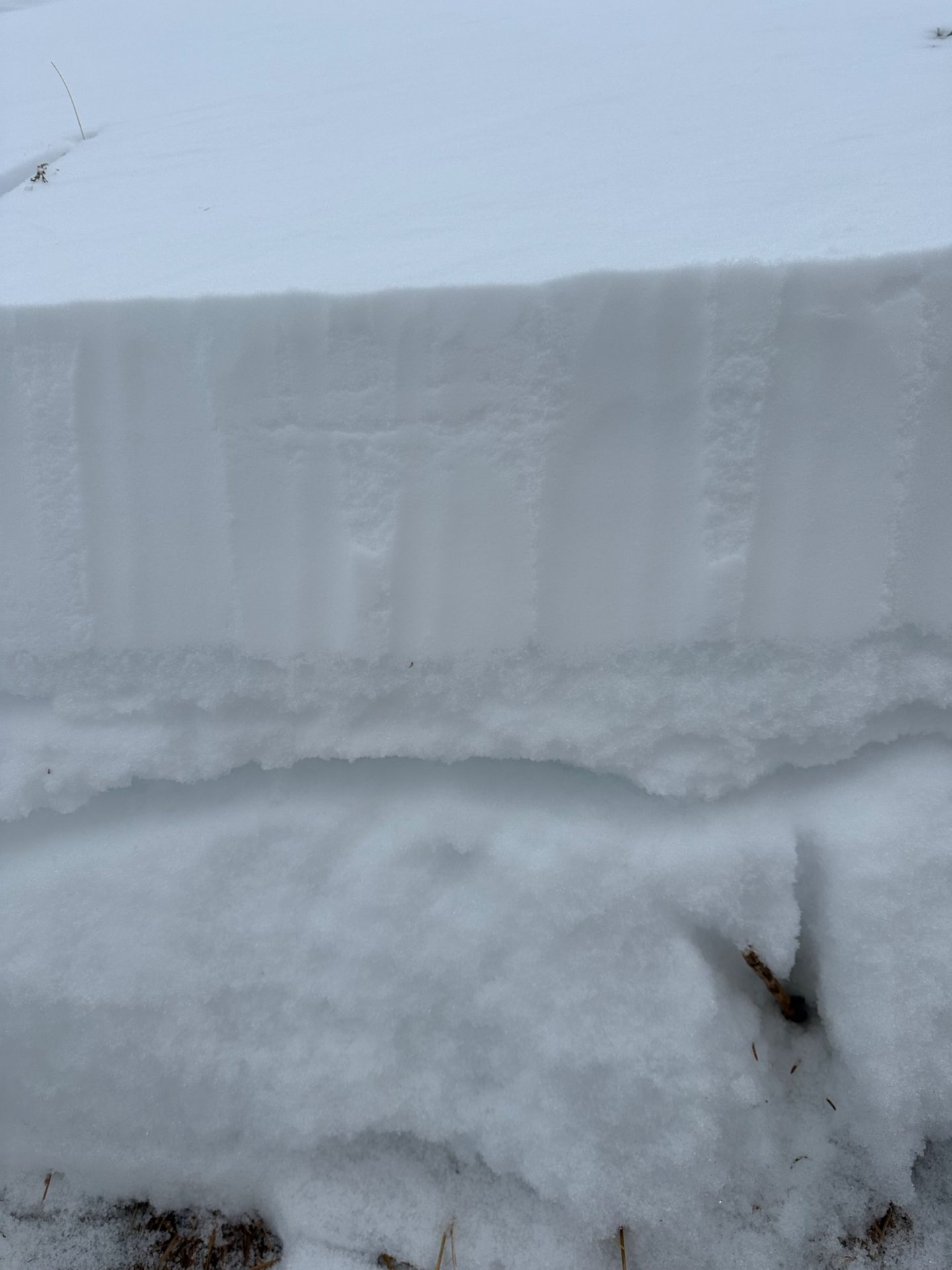Schwachschichten findet man im Bereich der Altschneeoberfläche unterhalb von Schmelzkrusten. (© Elisabeth Zangerl, 30.01.2025)