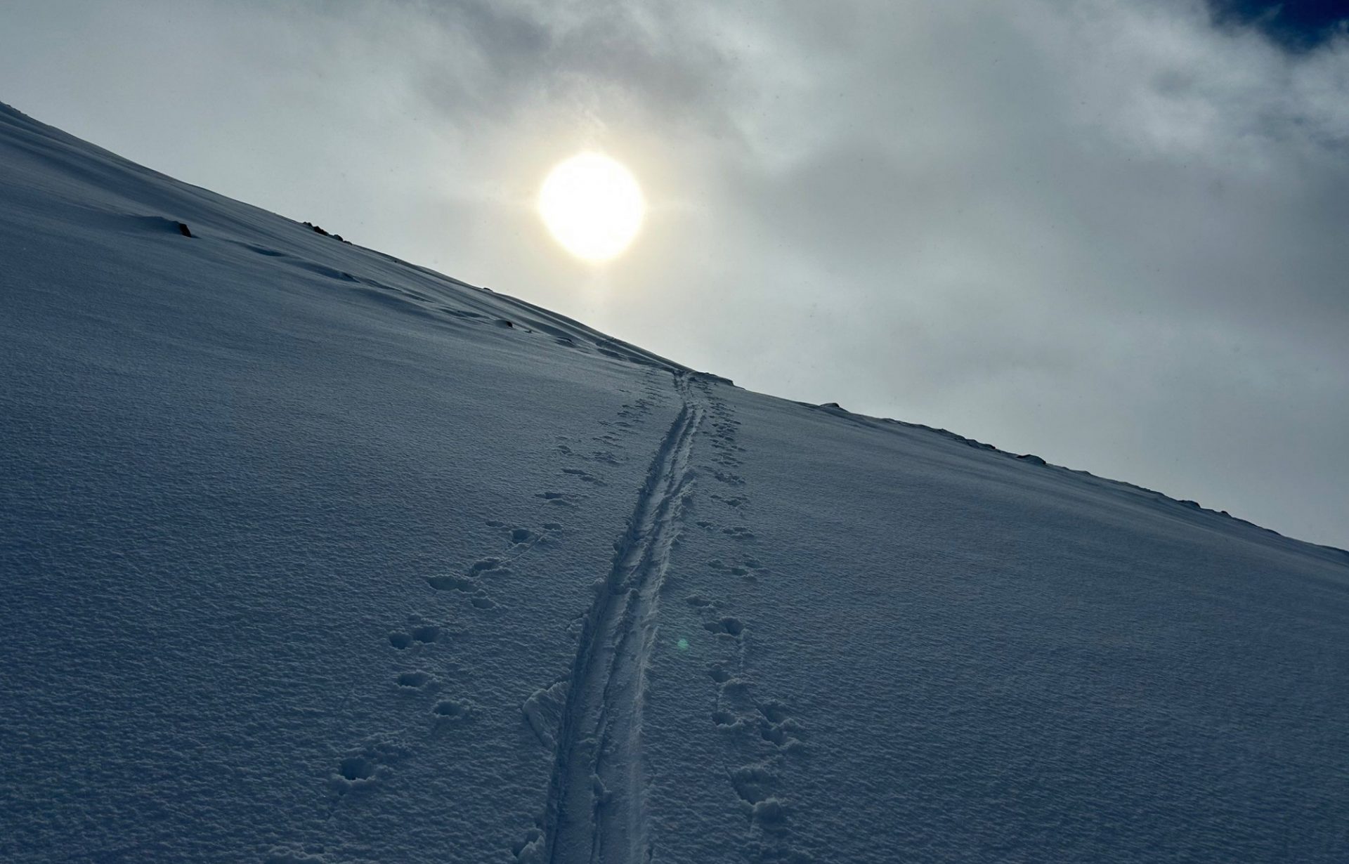 Ein Hauch von Neuschnee am Medrig (2568m) in der Samnaungruppe (©Martin Santeler, 23.01.2025).