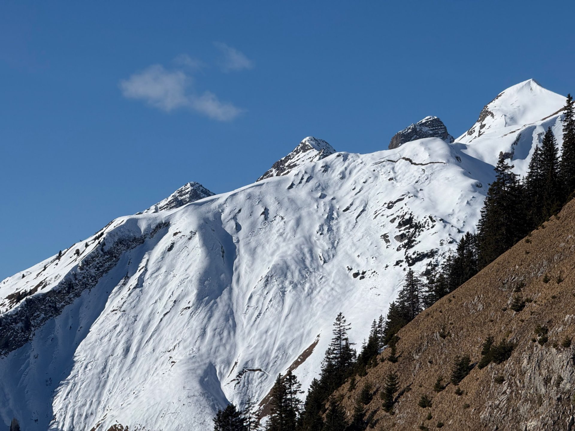 Gleitschneeaktivität im Außerfern (© Marvin Kärle, 10.02.2025)