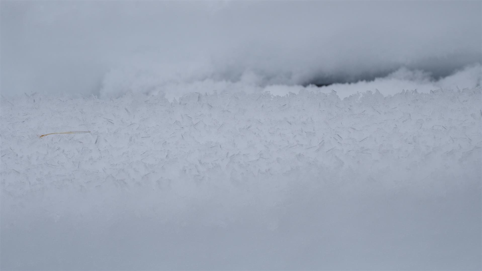 Bereits feuchter Oberflächenreif auf 2000m in der Region Kühtai - Geigenkamm (© 11.02.2025, LWD Tirol)