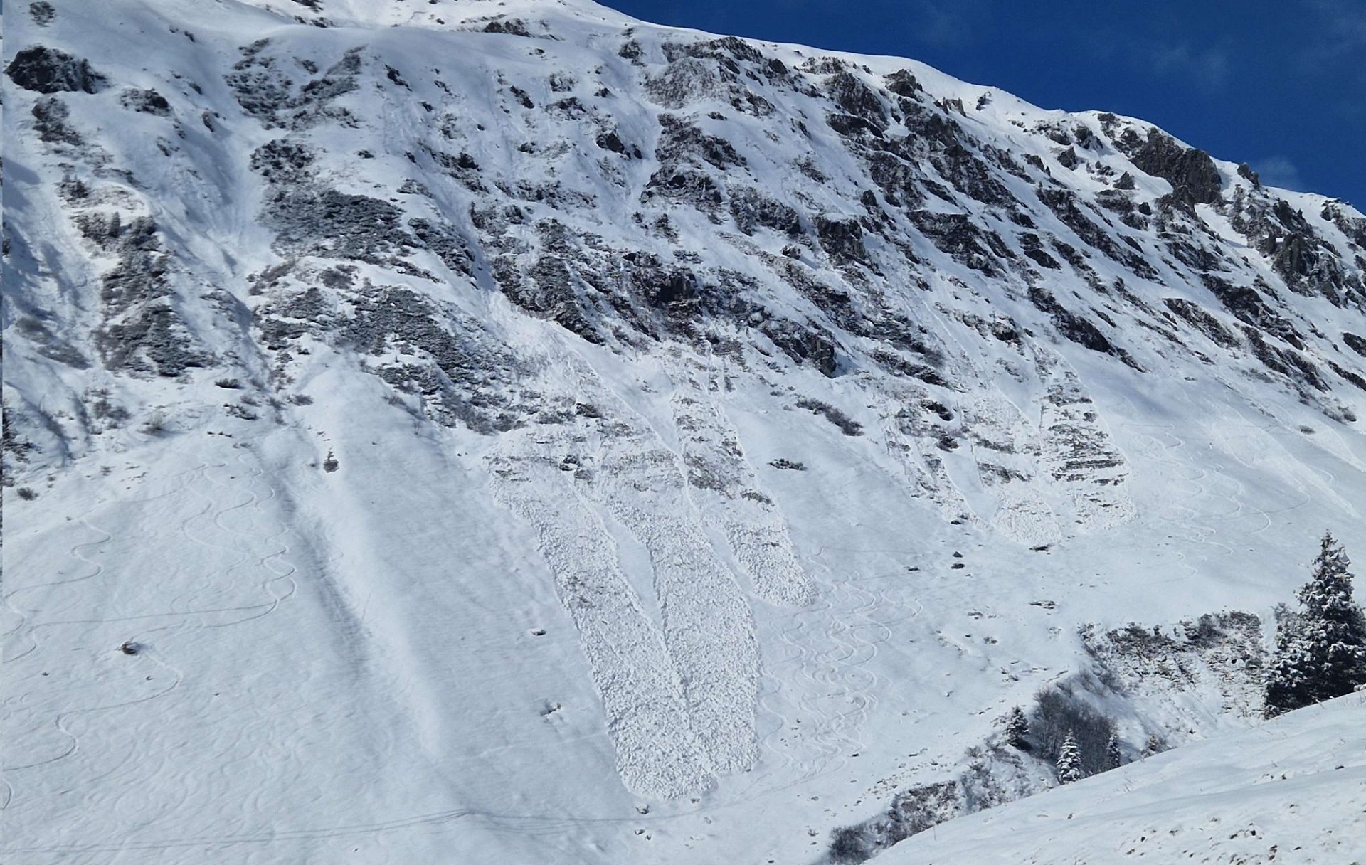 Im besonnten extrem steilen Gelände lösten sich mit der Sonneneinstrahlung spontane feuchte Lockerschneerutsche. Östliche Tuxer Alpen (©Stefan Leo, 01.03.2025).