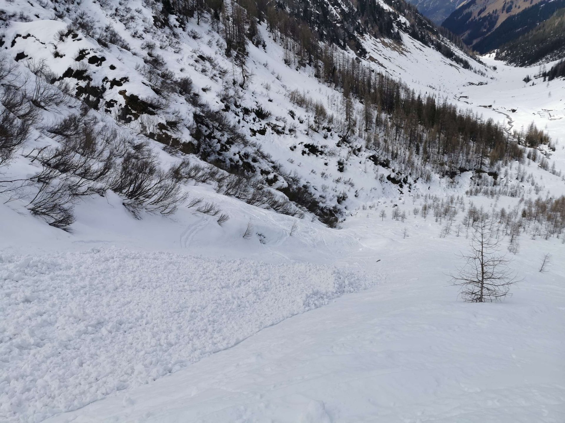 Nasse Lockerschneelawine in den Lechtaler Alpen (© Verena Langguth, 10.03.2025)