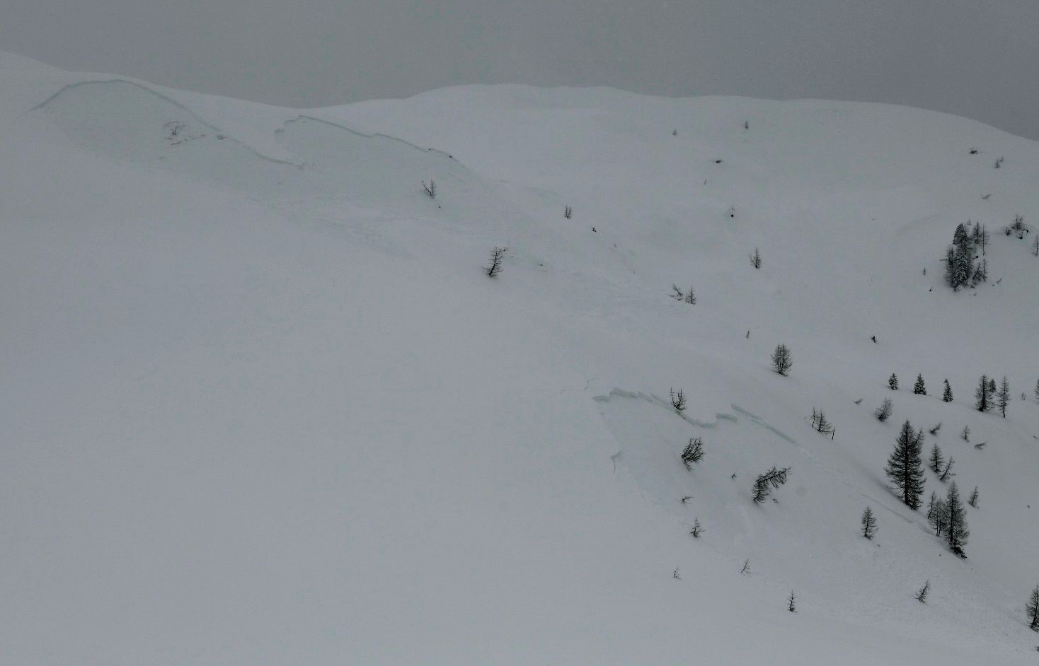 Kleine Schneebrettlawinen am Bösring am Karnischen Kamm zeugen von einer hohen Störanfälligkeit der Schneedecke (©Roland Noichl, 14.03.2025).