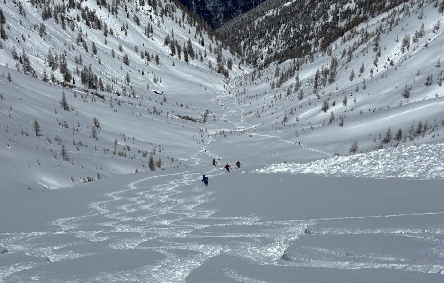 Im flachen schattseitigen Gelände und Abseits der Lawinenablagerungen konnte in den Folgetagen sehr guter Pulverschnee angetroffen werden. Östl. Deferegger Alpen (©Michael Amraser, 17.03.2025)