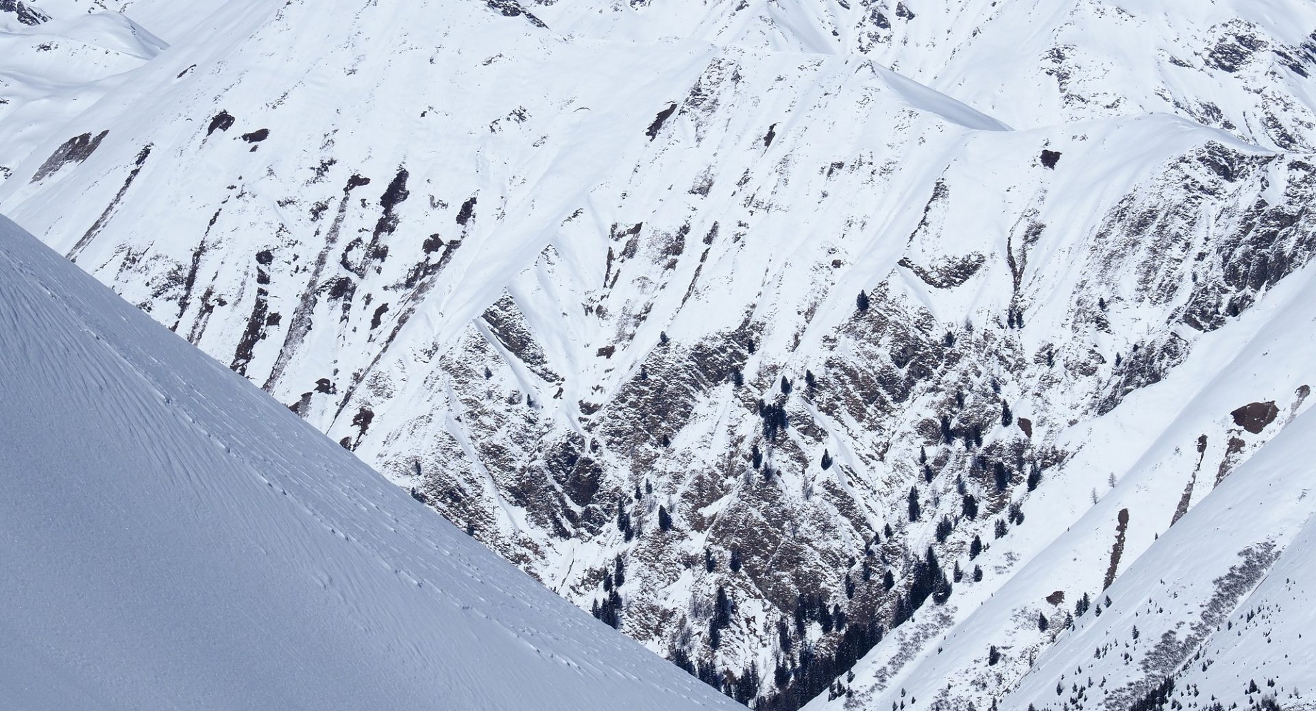 Der Spitze der Gleitschneeaktivität dürfte bereits überschritten sein. Dennoch sind auch in den kommenden Tagen noch vereinzelte Abgänge aus sehr steilen Grashängen zu erwarten (©LWD Tirol, 02.04.2025)