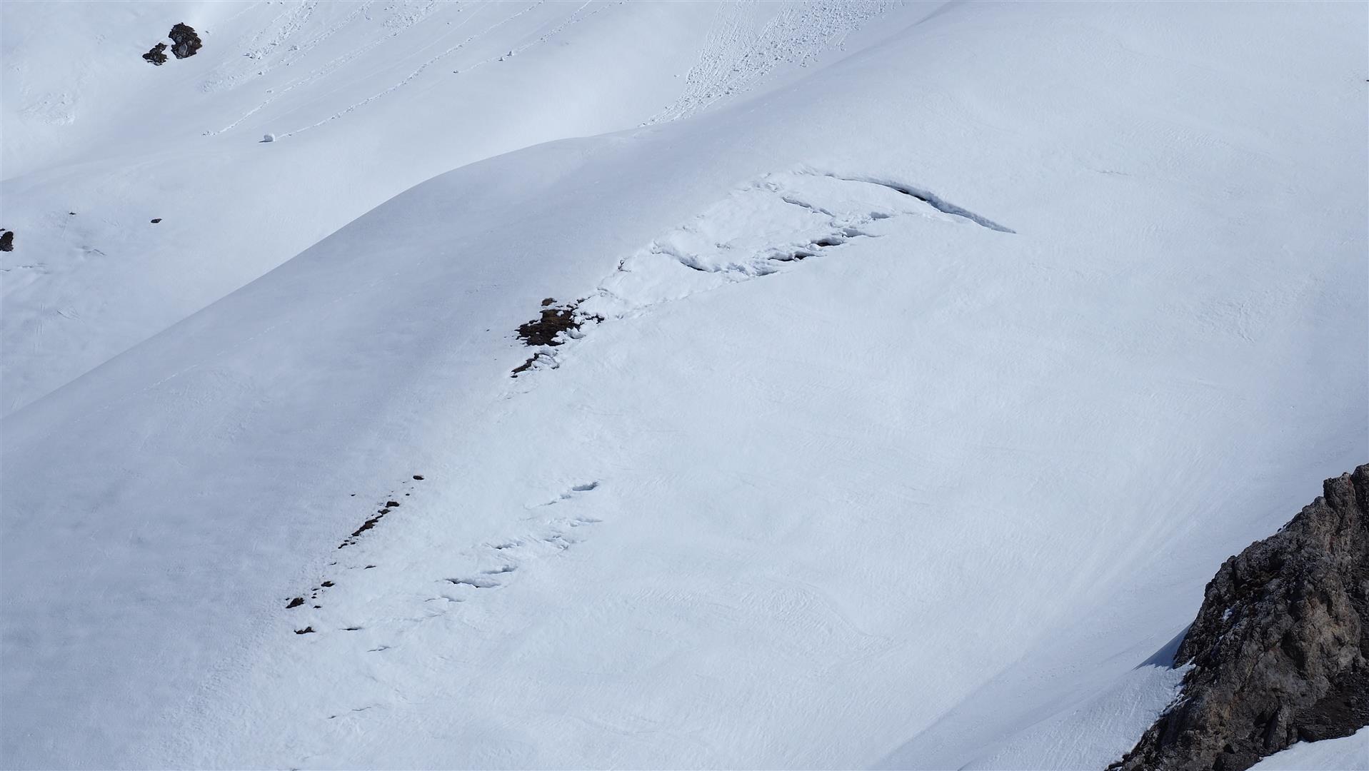 Die Gleitschneeaktivität nahm während der Woche stetig ab. Arlberg (© LWD Tirol, 06.04.2025)