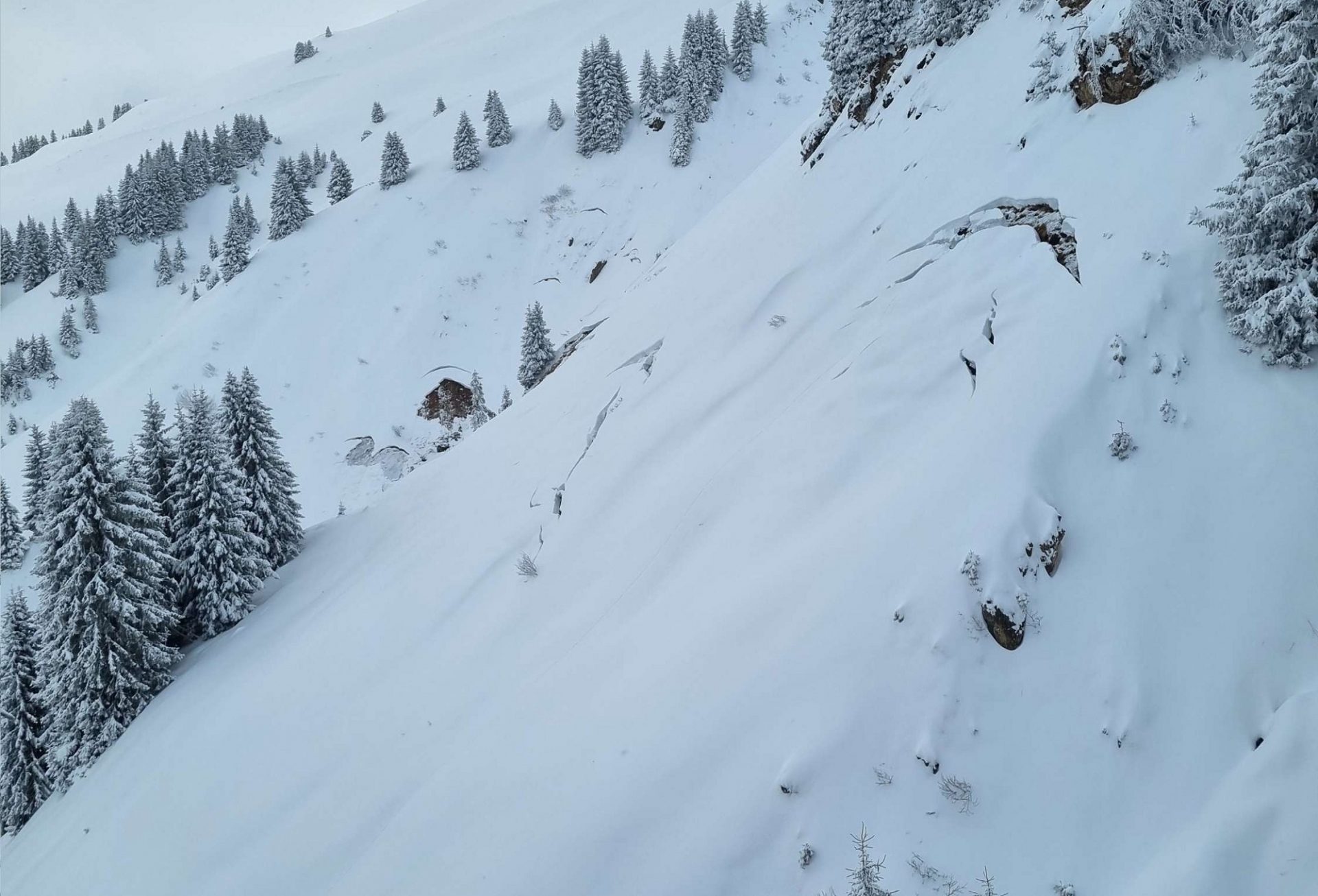Gleitschneerisse und frische Gleitschneelawinen in den östlichen Kitzbüheler Alpen. Vor den Niederschlägen waren diese Hänge vermutlich bereits schneefrei (©Manuel Margesin, 01.04.2025).
