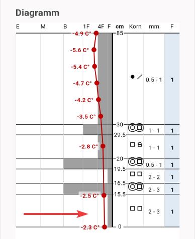 Das Schneeprofil am Daunferner in den Stubaier Alpen zeigt oberhalb der Gletscheroberfläche eine Abfolge von kantigen Kristallen und Krusten. Kantige Kristalle dienten im Nahbereich des Profilortes als Schwachschicht für Schneebrettlawinen, welche am 28.10. von WintersportlerInnen ausgelöst wurden. (© Günter Chwojan, 29.10.2025)