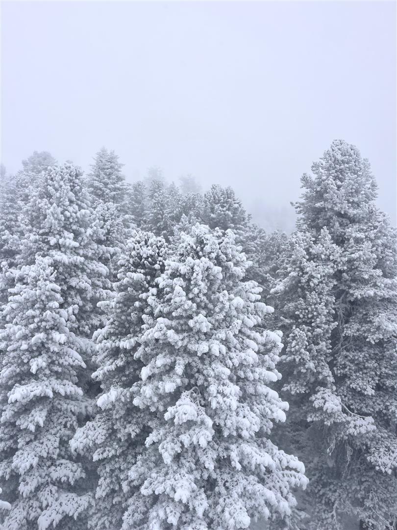 Frischen Triebschnee in der Höhe, aber auch Verletzungsgefahr durch Steine beachten