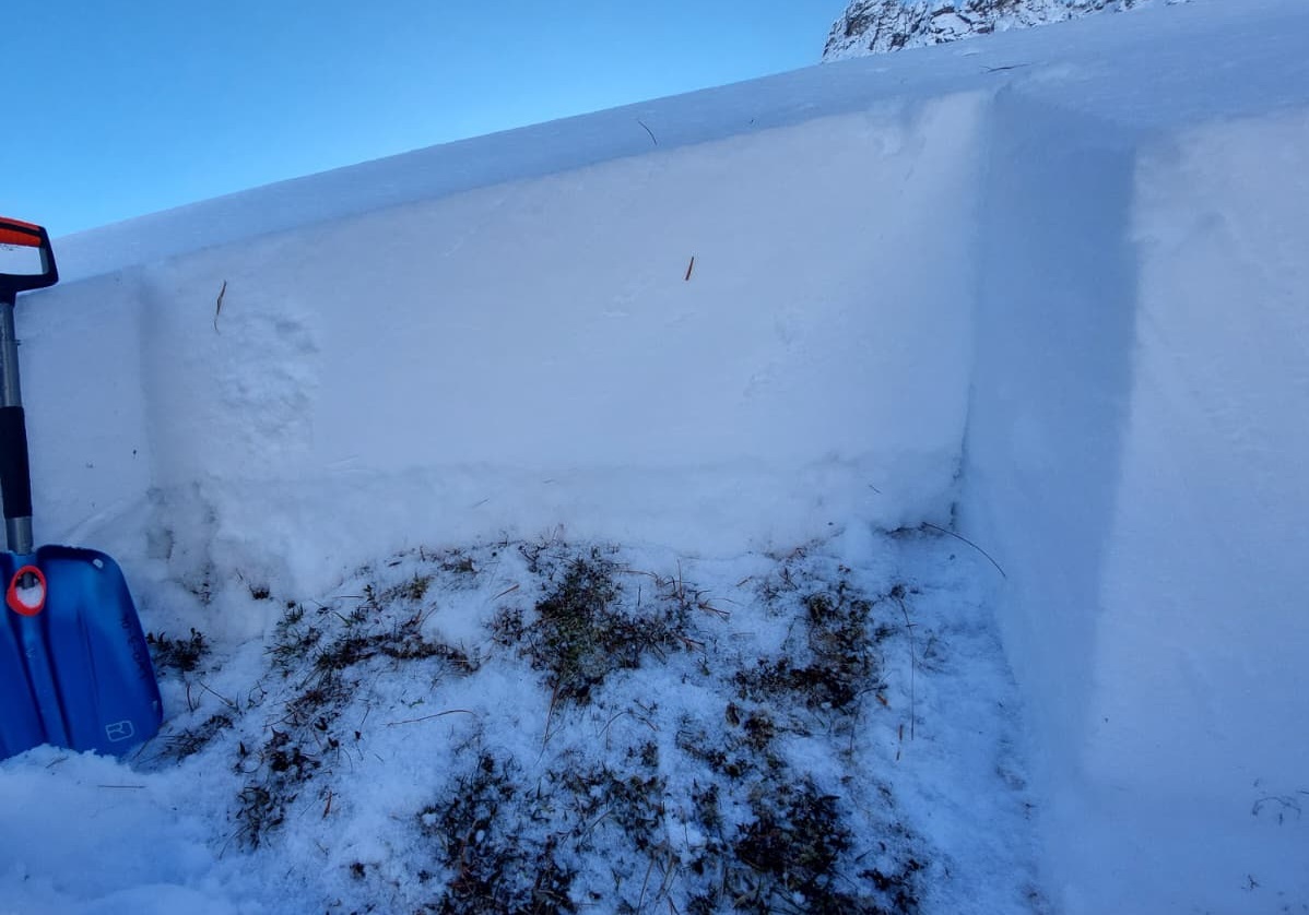 Das oben dargestellte Schneeprofil als Bild: Neuschnee und etwas älterer Triebschnee bilden das Schneebrett, sie erscheinen matt- weiß, in Bodennähe findet man weiche, kantig aufgebaute und grau erscheinende Schichten zwischen Schmelzharschkrusten (©LWD Tirol, 27.11.2025).