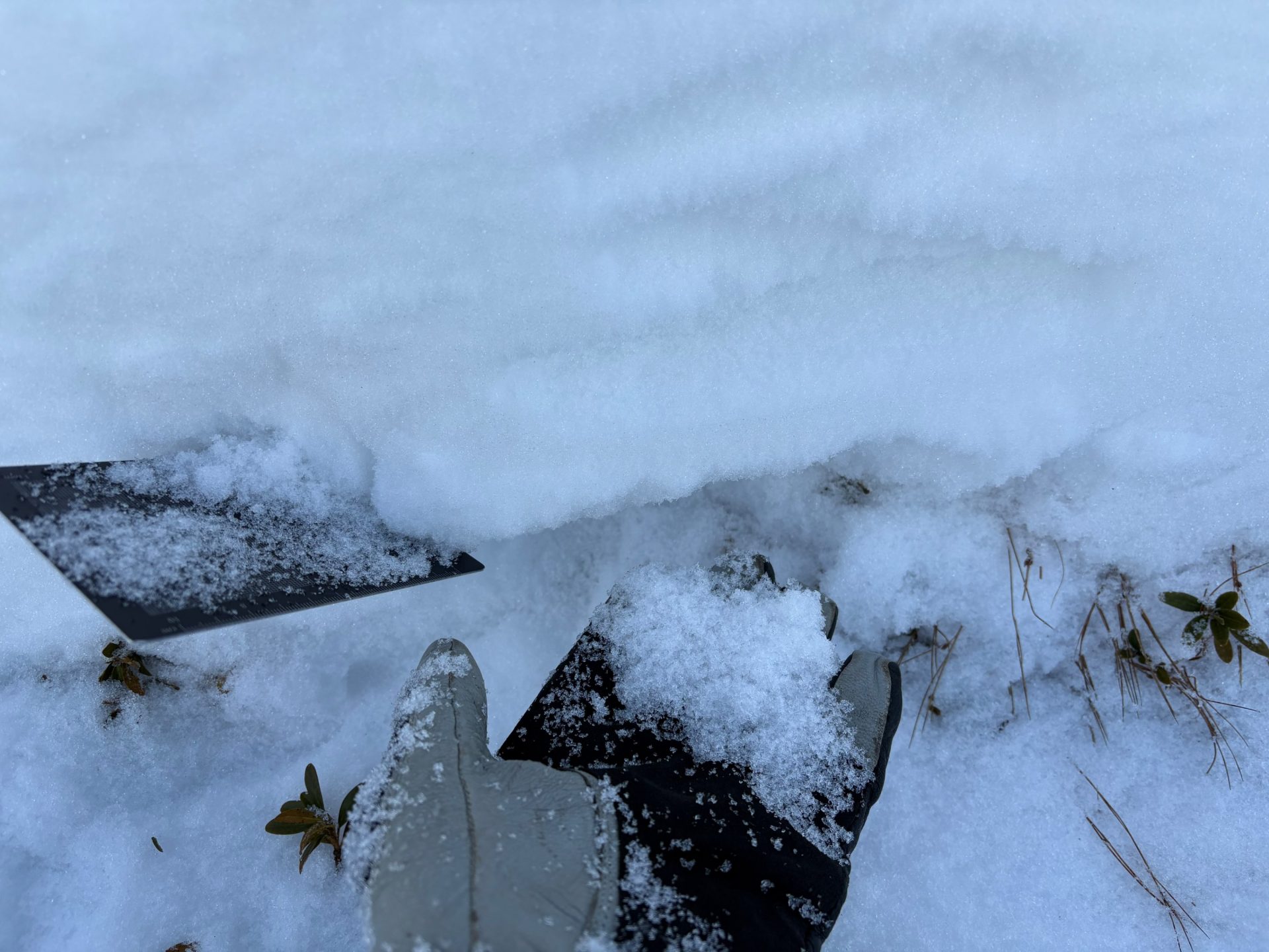 Aufbauend umgewandelte Kristalle (meist kantig, teilweise auch Schwimmschnee) in Bodennähe. Thurntaler in der Region Deferegger Alpen Ost (© Anton Riepler, 30.11.2025)