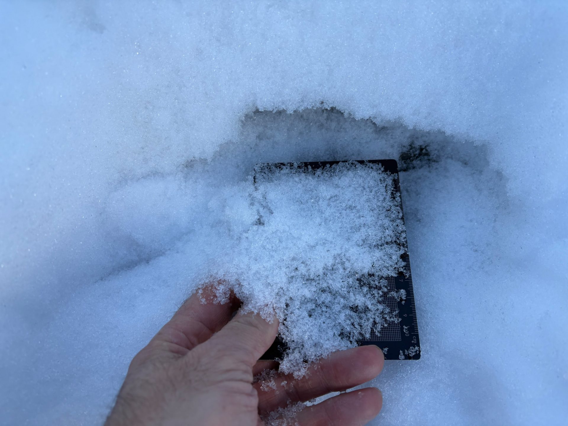 Kantige, lockere Kristalle innerhalb der Schneedecke. Nördliches Osttirol (©Anton Riepler, 27.12.2025)