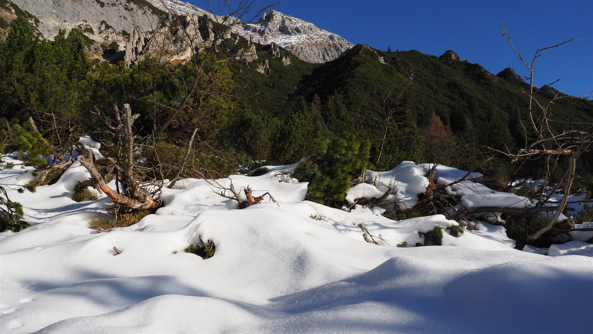Oberflächenreif im Mieminger Gebirge (©LWD Tirol, 28.12.2025)