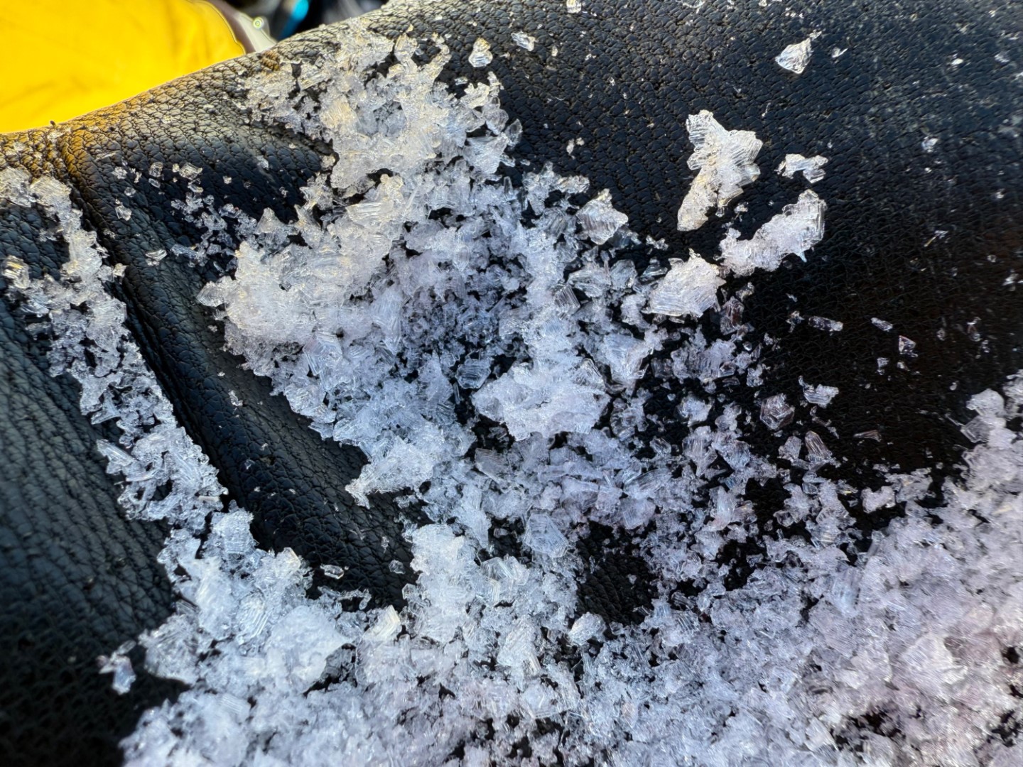 Becherkristalle vom oben dargestellten Profil. (© Marvin Kärle, 07.01.2026)