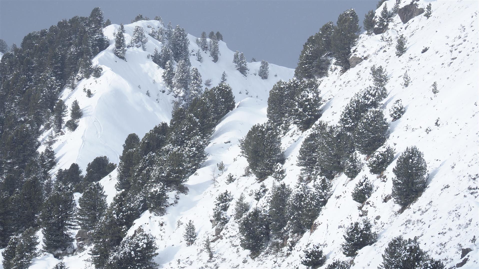 Im Aufstieg zum Wetterkreuz. Im Vordergrund dominieren schneeärmere Bereiche, im Hintergrund kammnah eingewehte Bereiche. Ähnlich ausgerichtet, nur etwas höher ist der Unfallhang. (© LWD Tirol, 12.01.2026)