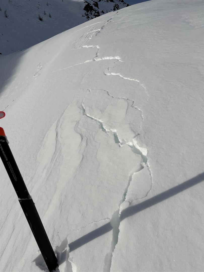 Ein, diese Woche häufiger Begleiter: Setzungsgeräusche und Rissbildungen in der Schneedecke. Skigebiet Thurntaler in der Region "Deferegger Alpen Ost" (© Anton Riepler, 13.01.2025)