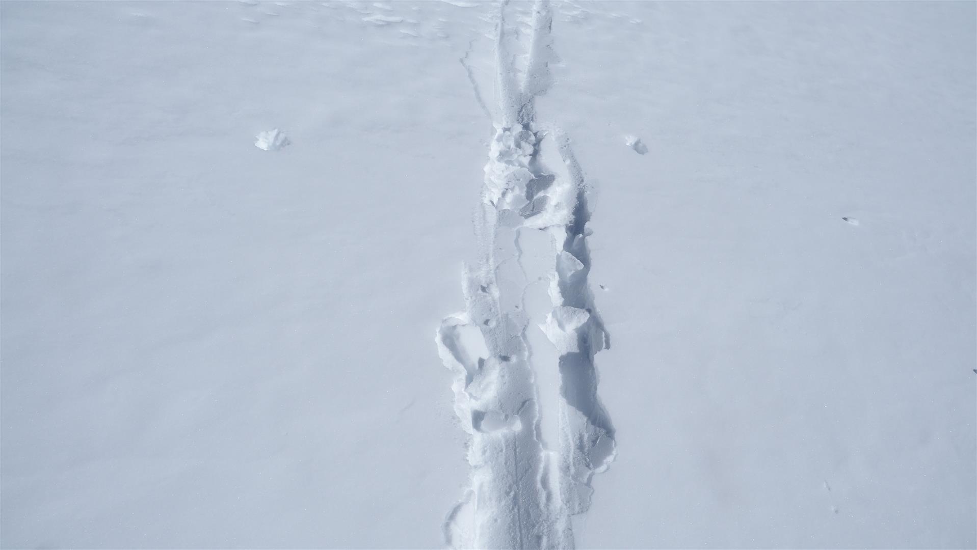 Die Schneequalität variiert sehr stark. Bruchharsch scheint gerade zu überwiegen. (© LWD Tirol, 21.01.2026)