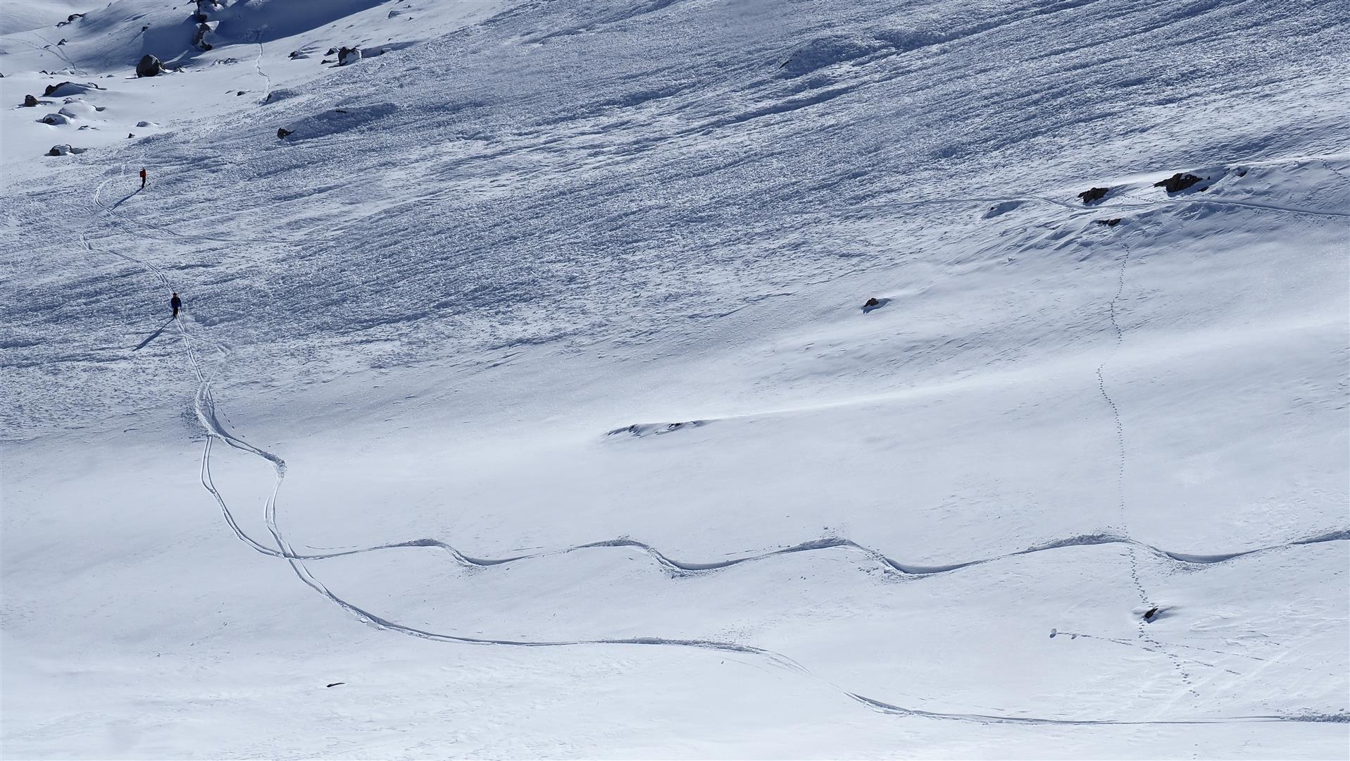 Es gibt aber auch noch pulverähnliche Verhältnisse. Lechtaler Alpen West (© LWD Tirol, 21.01.2026)