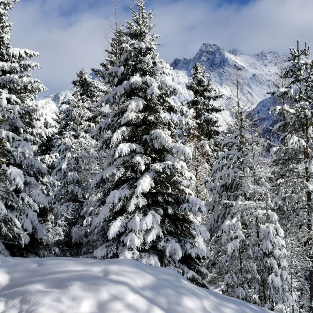 Gebietsweise wurde es winterlich, wie hier im Nahbereich von Sölden (© Peter Raich, 26.01.2026)