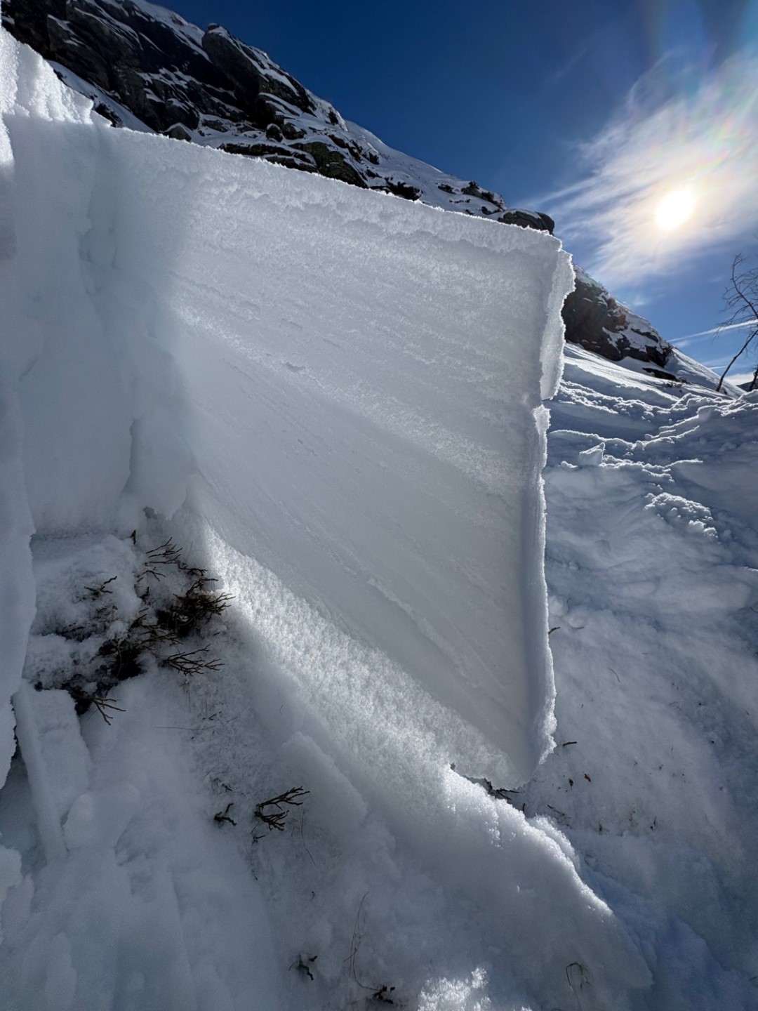 An dem "Durchscheinprofil" erkennt man sehr gut luftreichere (Schwach-)Schichten innerhalb der Schneedecke. Felbertauern (© Stephan Aberger, 27.01.2026)