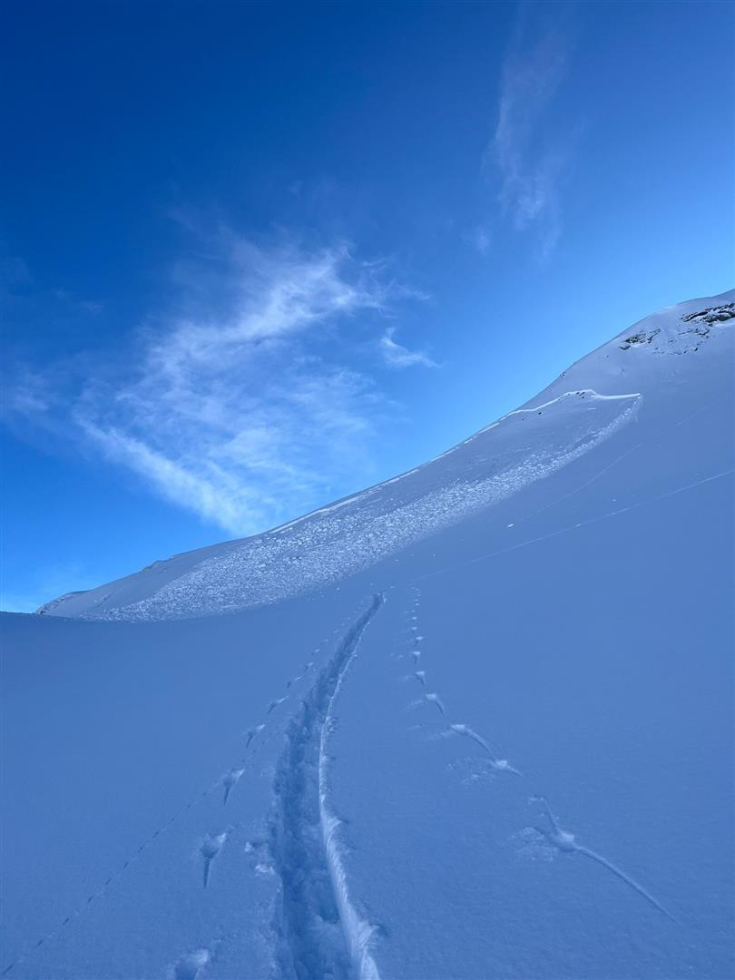 Fernauslösung im Nahbereich des Trittkopfes im Arlberggebiet (© N.N., 31.01.2026)
