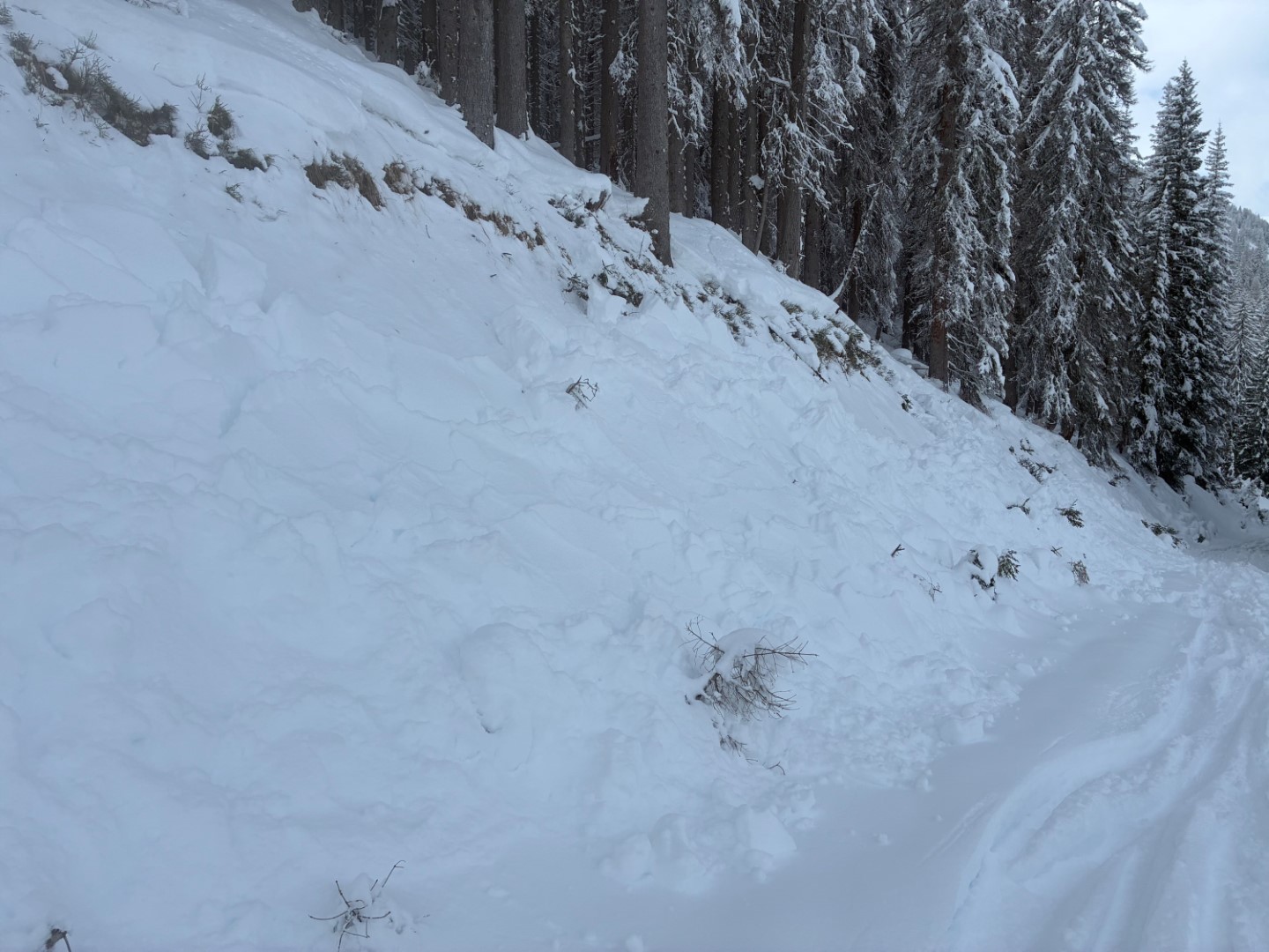 Kleine Schneebrettlawinen im Bereich von Böschungen in der Region Karnische Alpen Osttirol (© LWD Tirol, 30.01.2026)