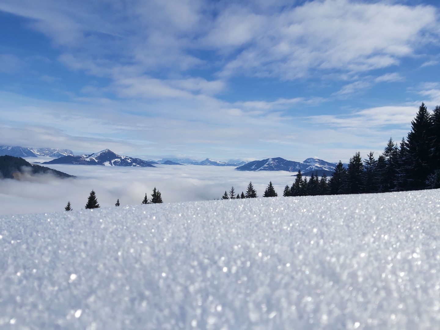 Oberlfächenreif im Unterland (© Andreas Stefan Mayr, 01.02.2026)