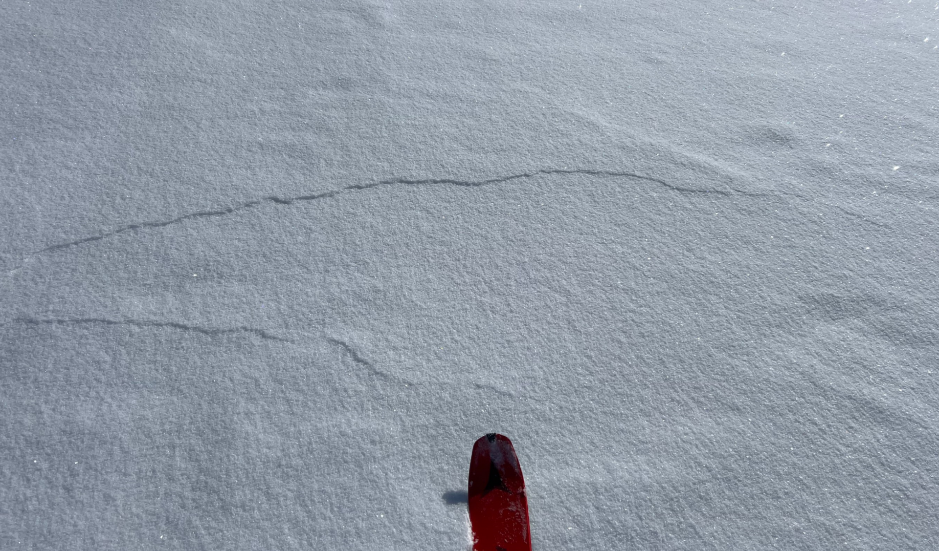 Frische Lawinen, Risse oder Wummgeräusche sind Alarmzeichen und weisen auf die Gefahr hin (©Hugo Reindl, 07.02.2026).