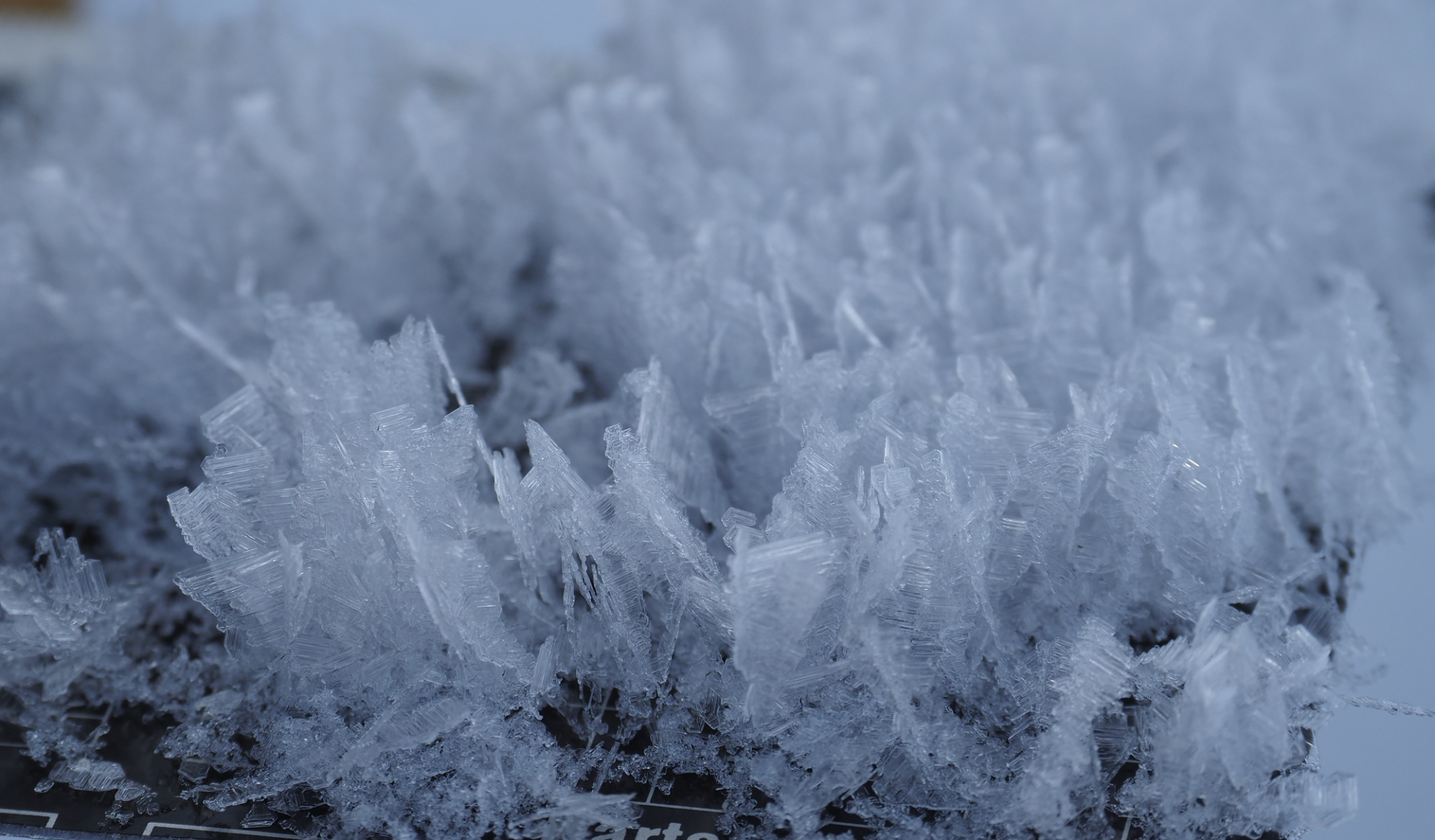 Die frischen Triebschneepakete liegen nun teilweise auf Oberflächenreif und können so leicht ausgelöst werden (©LWD Tirol, 10.02.2026).