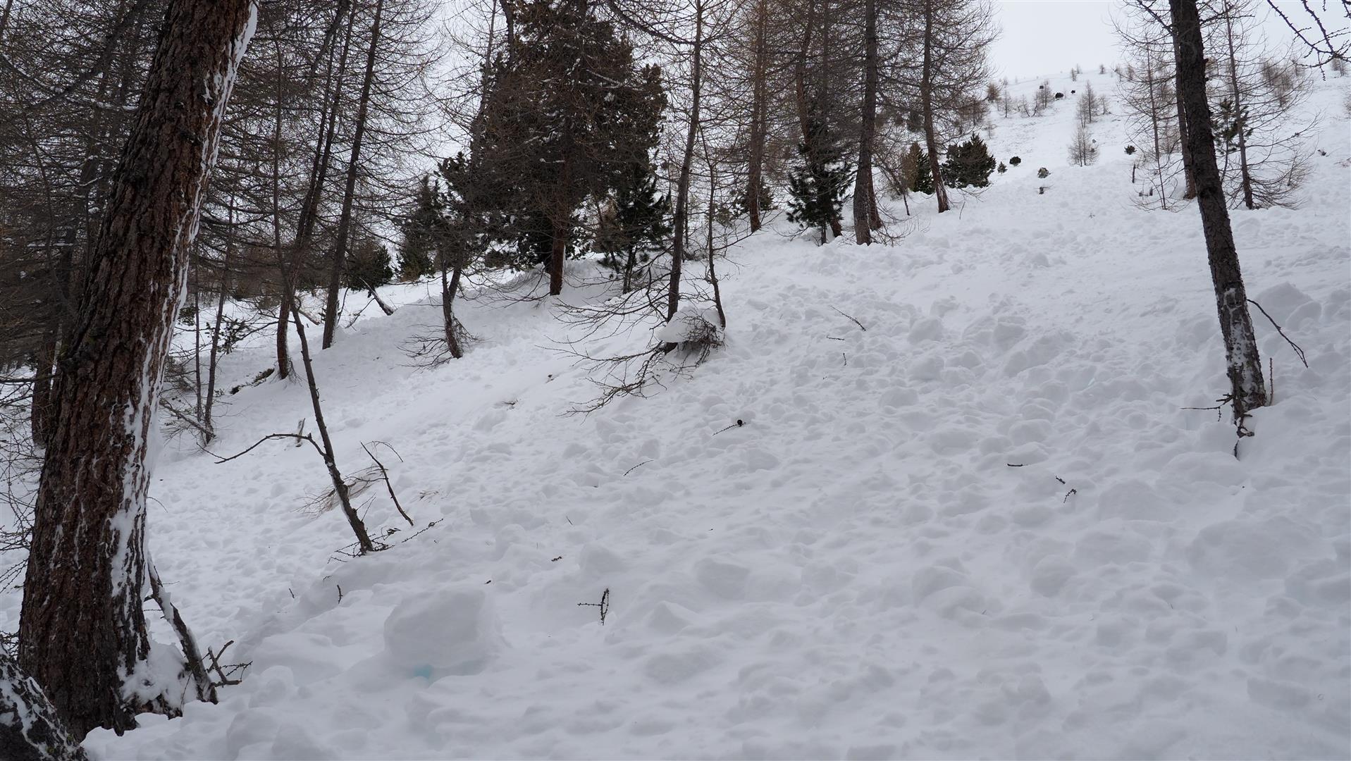 Review of last 2 weeks, including avalanche incident analysis
