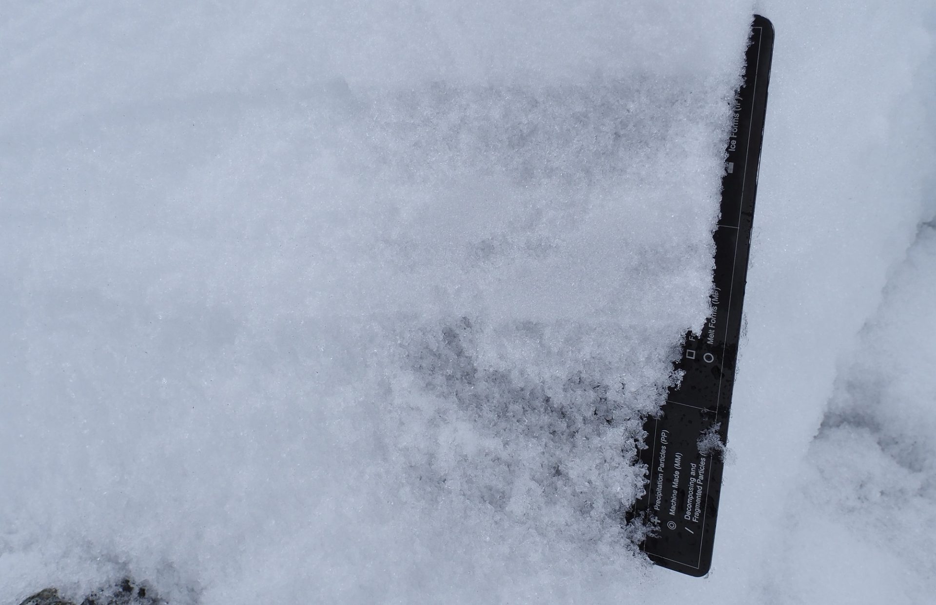 Avalanche incident Tamlspitz – Tux Alps West, 28.02.2026