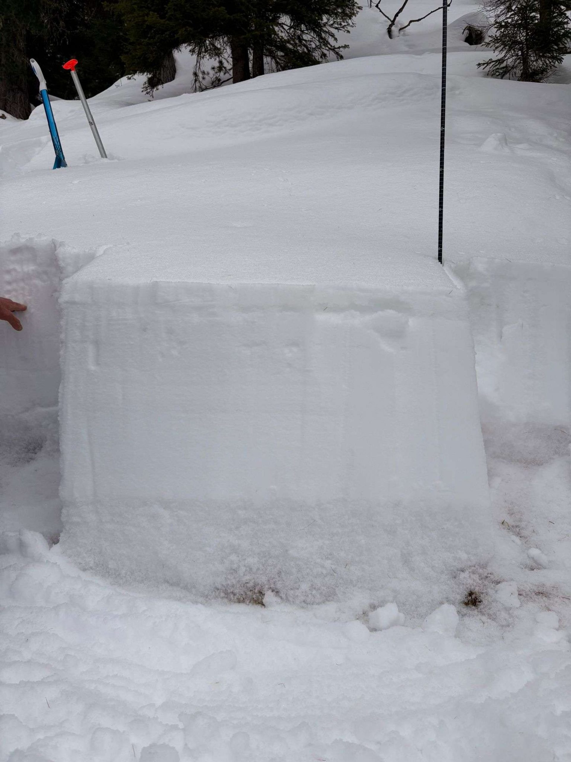 Mäßige Lawinengefahr – geringe Wahrscheinlichkeit, große Auswirkungen – Unfallanalyse der Lawine am Zehndleserkofel, 06.03.2026